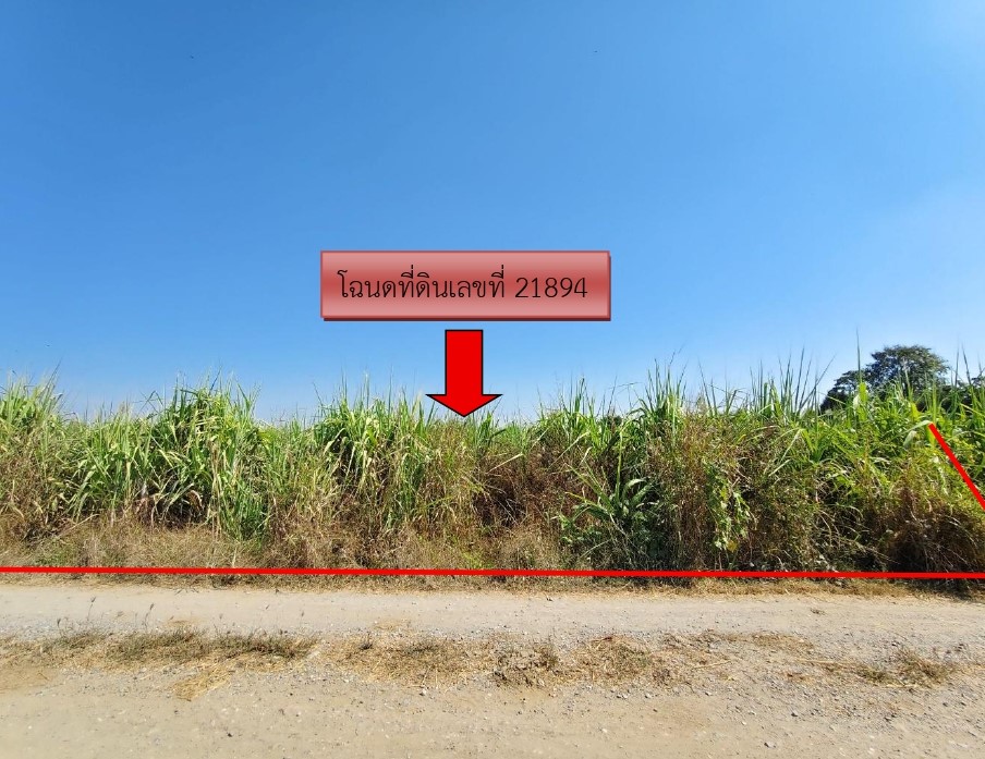 รูปที่ดินว่างเปล่า หัวดง เก้าเลี้ยว นครสวรรค์