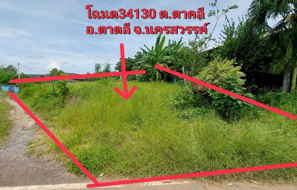 รูปที่ดินว่างเปล่า ตาคลี ตาคลี นครสวรรค์