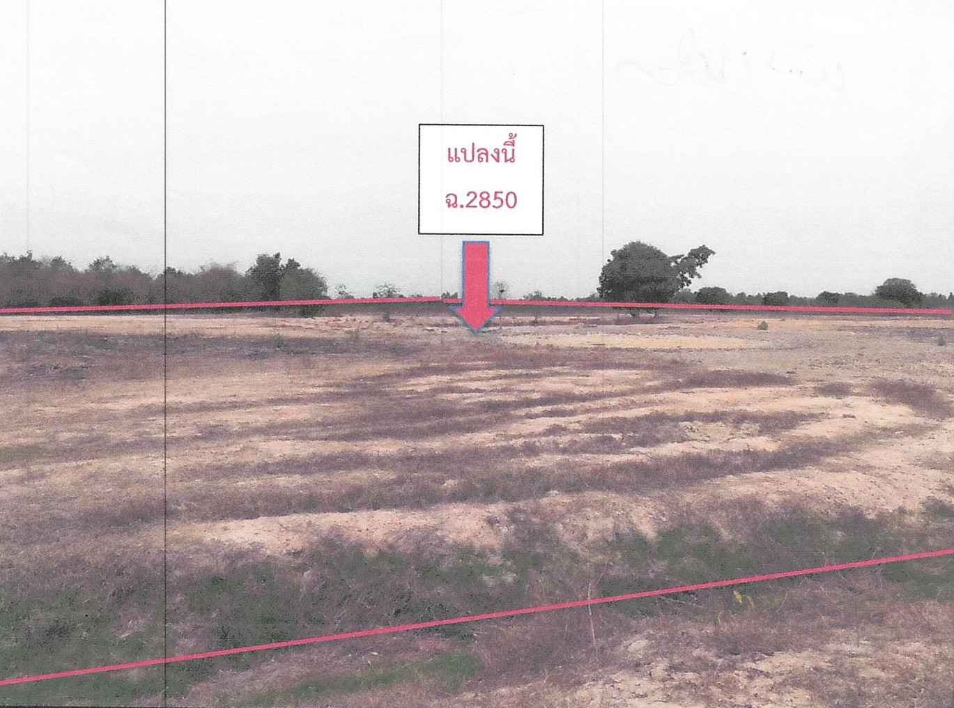 รูปที่ดินว่างเปล่า หนองขุ่น วัดสิงห์ ชัยนาท