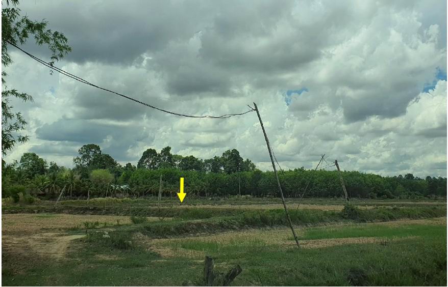 รูปที่ดินว่างเปล่า นาวัง เมืองอำนาจเจริญ อำนาจเจริญ