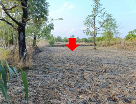 รูปที่ดินว่างเปล่า นางัว นาหว้า นครพนม
