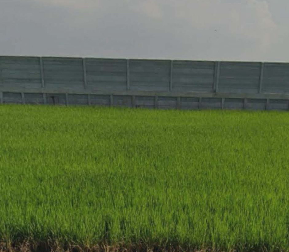 รูปที่ดินว่างเปล่า ระแหง ลาดหลุมแก้ว ปทุมธานี