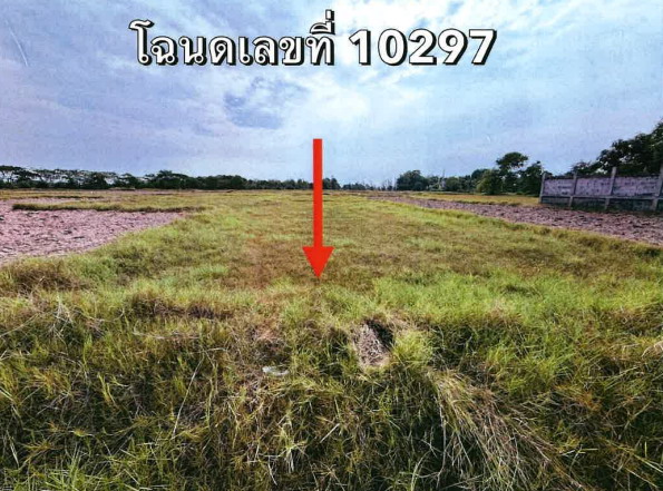 รูปที่ดินว่างเปล่า บ้านแพ คูเมือง บุรีรัมย์