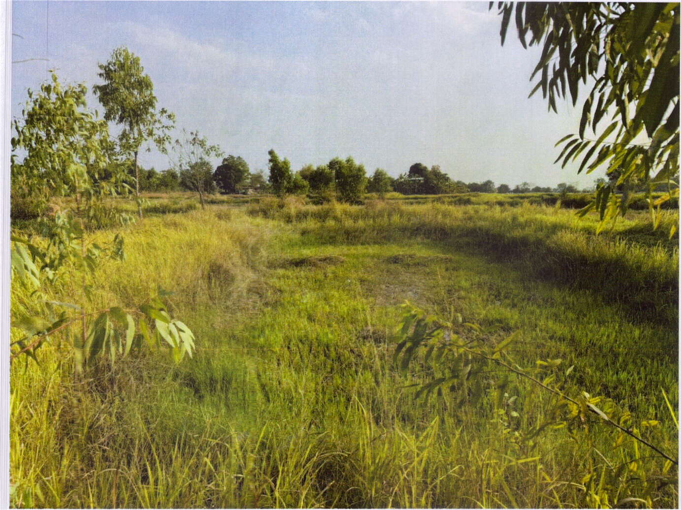 รูปที่ดินว่างเปล่า โคกมั่งงอย คอนสวรรค์ ชัยภูมิ