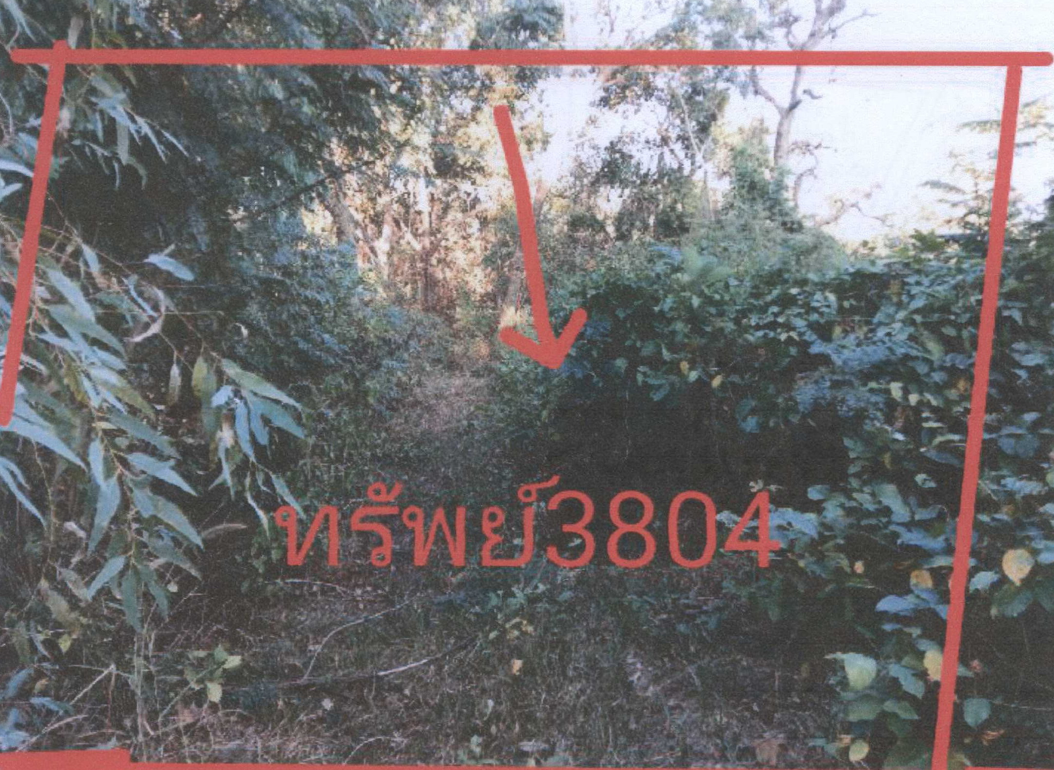 รูปที่ดินว่างเปล่า สว่าง สว่างวีระวงศ์ อุบลราชธานี