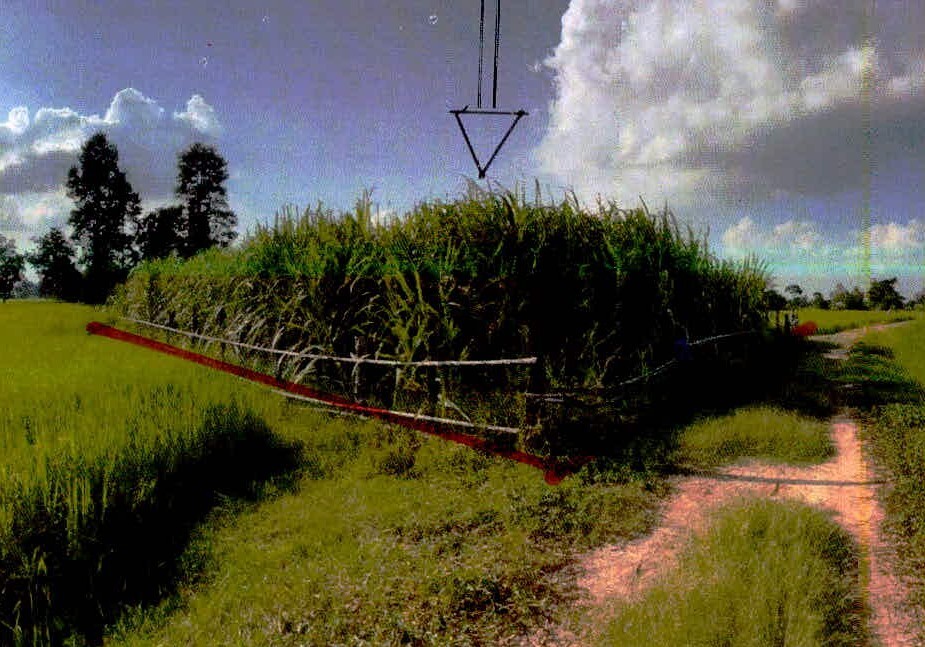 รูปที่ดินว่างเปล่า เพี้ยราม เมืองสุรินทร์ สุรินทร์