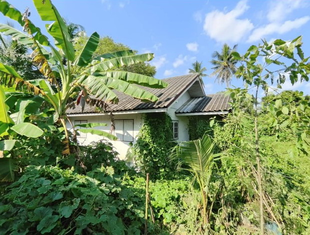 รูปที่ดินพร้อมสิ่งปลูกสร้าง เกาะตาล ขาณุวรลักษบุรี กำแพงเพชร