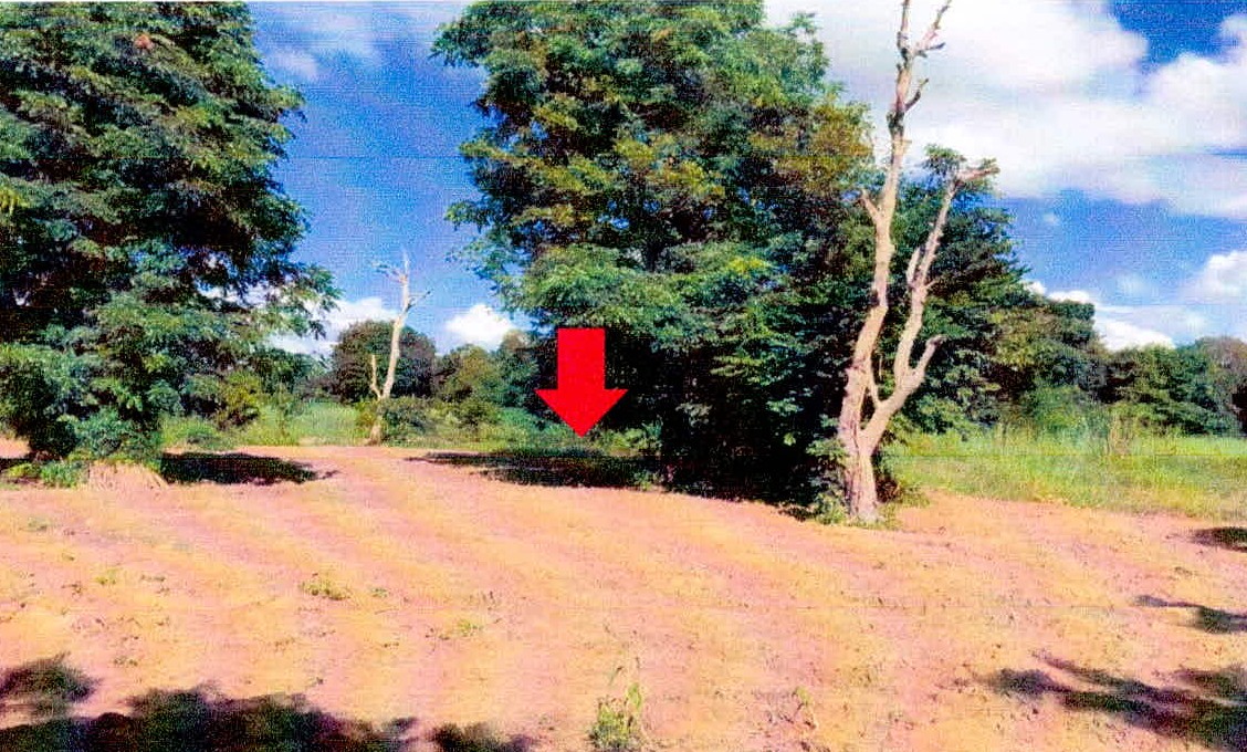 รูปที่ดินว่างเปล่า กู่จาน คำเขื่อนแก้ว ยโสธร