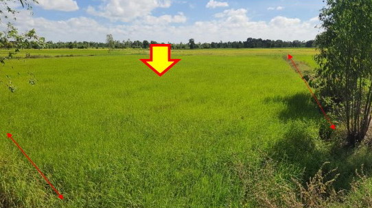 รูปที่ดินว่างเปล่า เกษตรวิสัย เกษตรวิสัย ร้อยเอ็ด