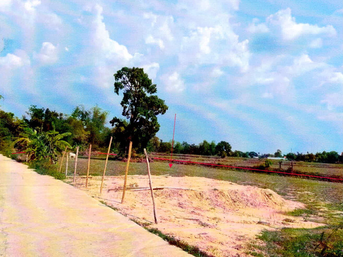 รูปที่ดินว่างเปล่า โพนข่า เมืองศรีสะเกษ ศรีสะเกษ