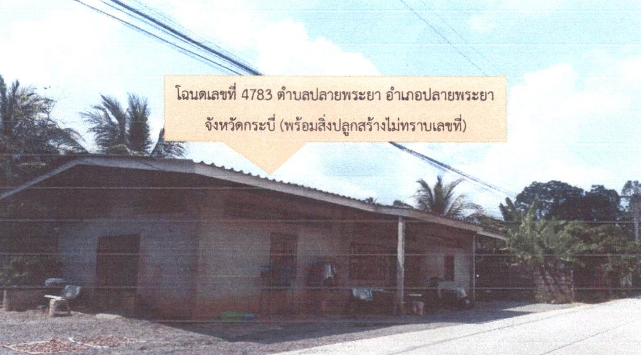รูปที่ดินพร้อมสิ่งปลูกสร้าง ปลายพระยา ปลายพระยา กระบี่