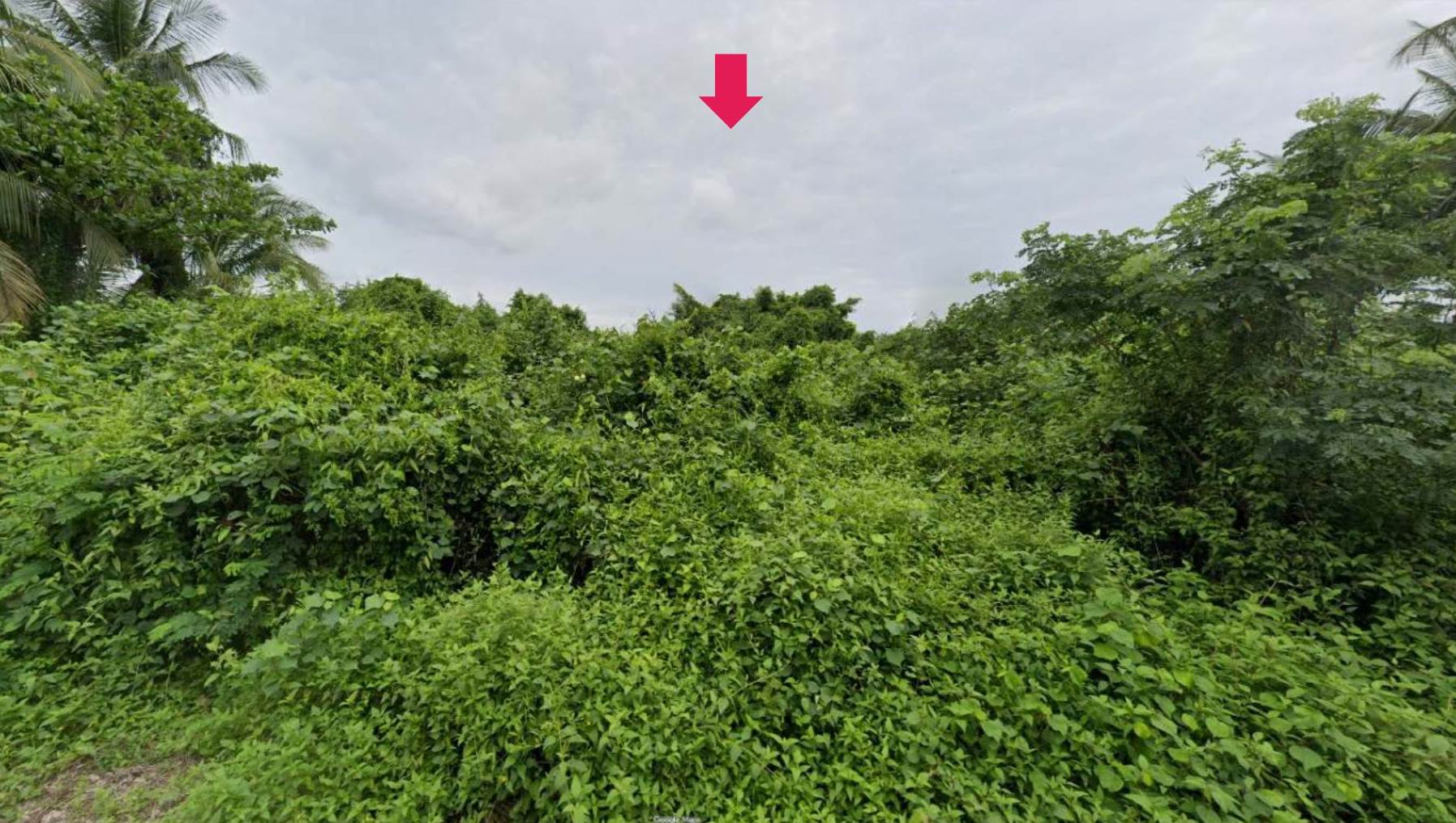 รูปที่ดินว่างเปล่า ตันหยงดาลอ ยะหริ่ง ปัตตานี