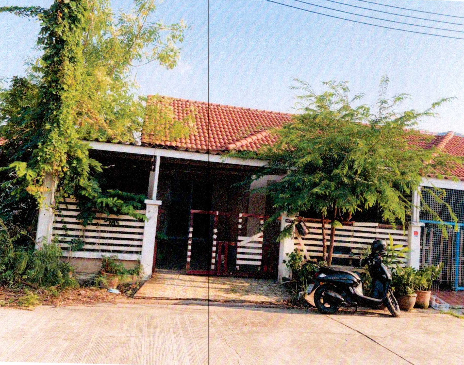 รูปที่ดินพร้อมสิ่งปลูกสร้าง บ้านเก่า พานทอง ชลบุรี