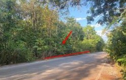 รูปที่ดินว่างเปล่า ม่วง บ้านม่วง สกลนคร
