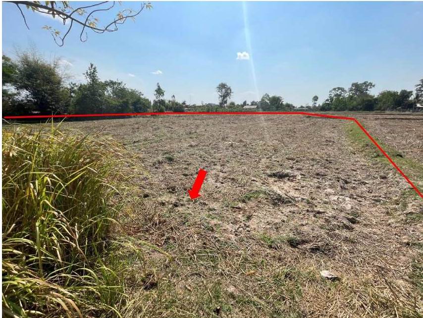 รูปที่ดินว่างเปล่า สำโรงทาบ สำโรงทาบ สุรินทร์