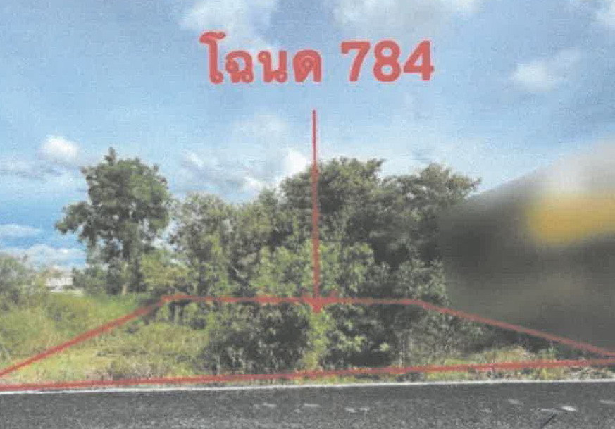 รูปที่ดินว่างเปล่า ไทรน้อย ไทรน้อย(บางบัวทอง) นนทบุรี