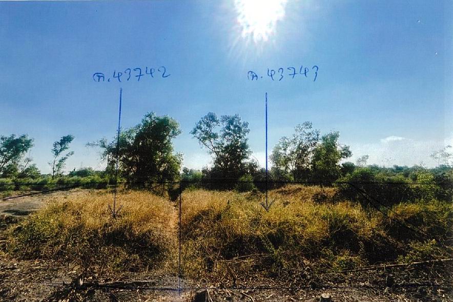 รูปที่ดินว่างเปล่า บึงกาสาม หนองเสือ ปทุมธานี