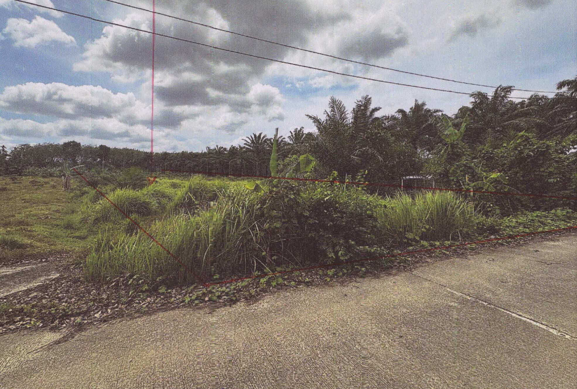 รูปที่ดินว่างเปล่า เขากอบ ห้วยยอด ตรัง