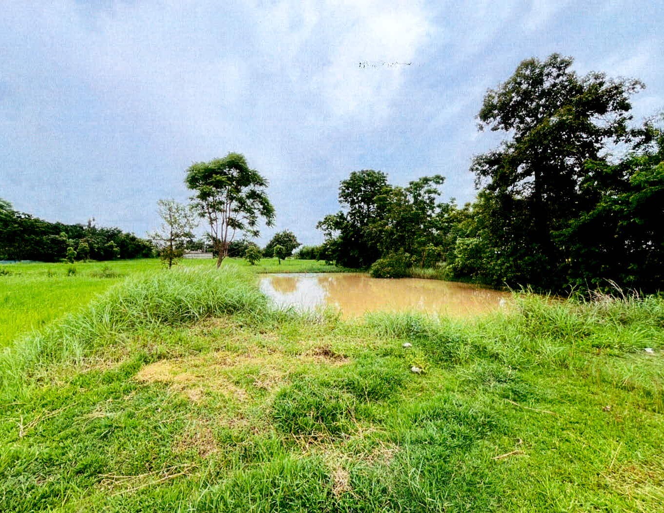 รูปที่ดินว่างเปล่า เขวาสินรินทร์ เมืองสุรินทร์ สุรินทร์