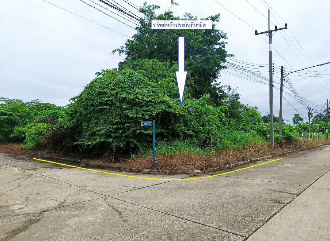 รูปที่ดินว่างเปล่า บางกระเบา นครชัยศรี นครปฐม
