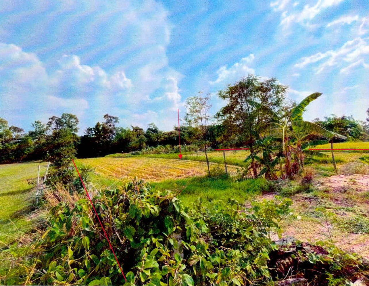 รูปที่ดินว่างเปล่า โพนข่า เมืองศรีสะเกษ ศรีสะเกษ