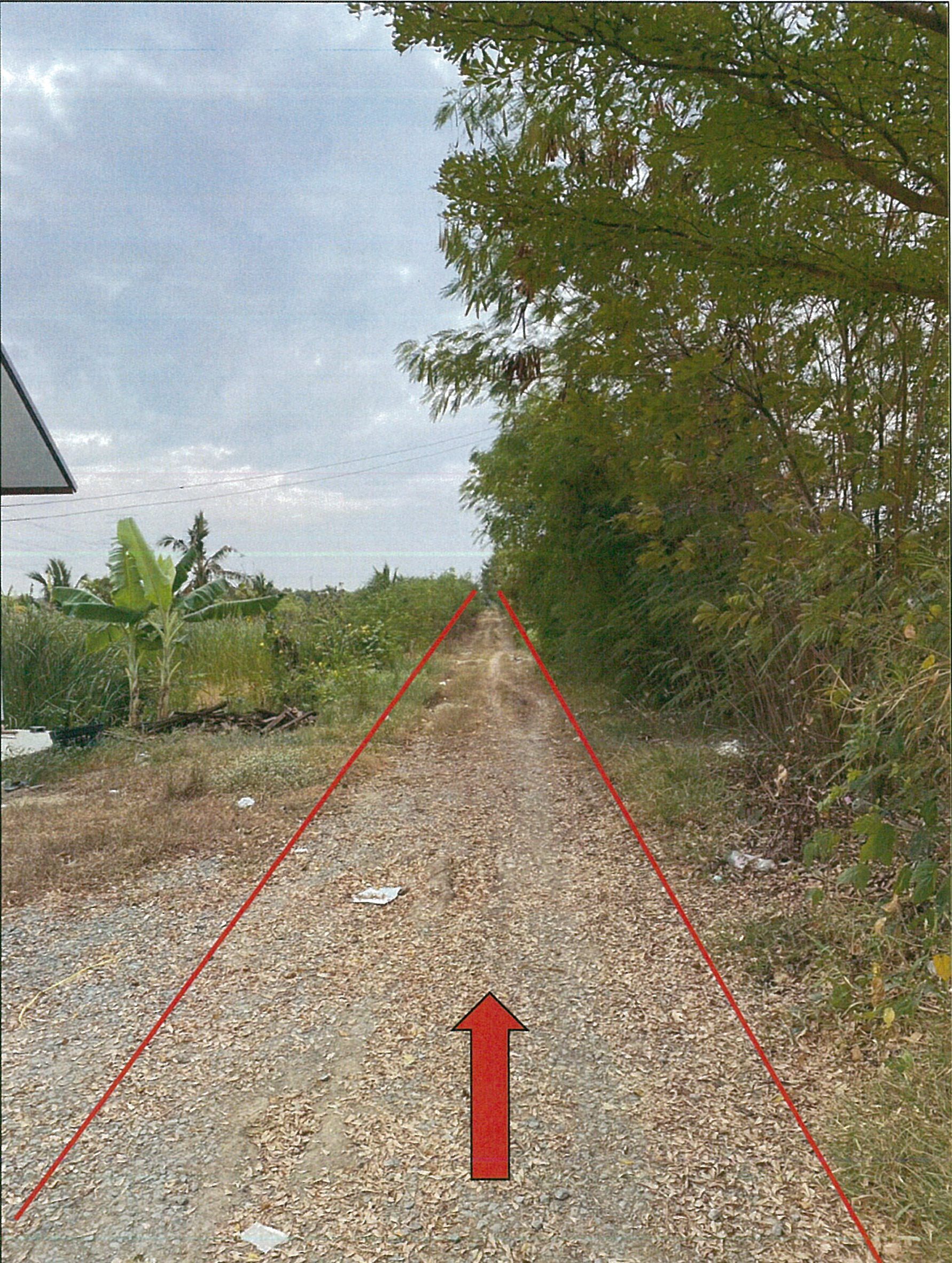 รูปที่ดินว่างเปล่า หน้าไม้ ลาดหลุมแก้ว ปทุมธานี