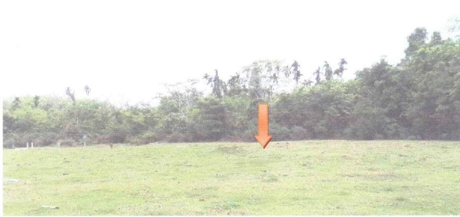 รูปที่ดินว่างเปล่า สุไหงปาดี สุไหงปาดี นราธิวาส