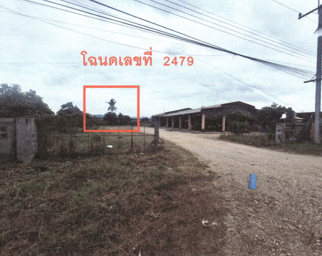 รูปที่ดินว่างเปล่า ป่าไผ่ ลี้ ลำพูน
