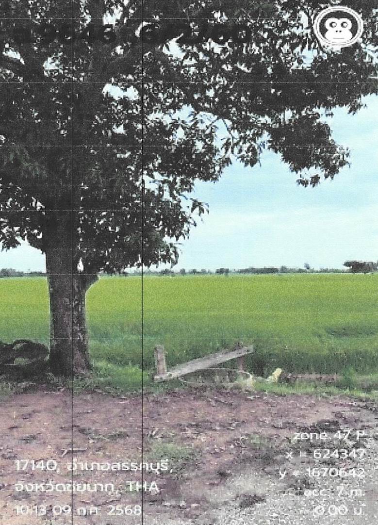 รูปที่ดินว่างเปล่า เที่ยงแท้ สรรคบุรี ชัยนาท