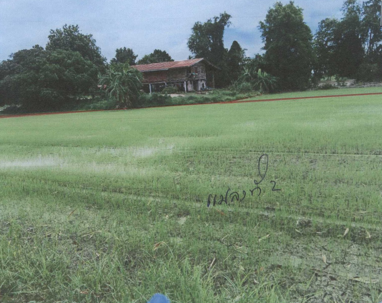 รูปที่ดินว่างเปล่า ท่าขมิ้น โพทะเล พิจิตร