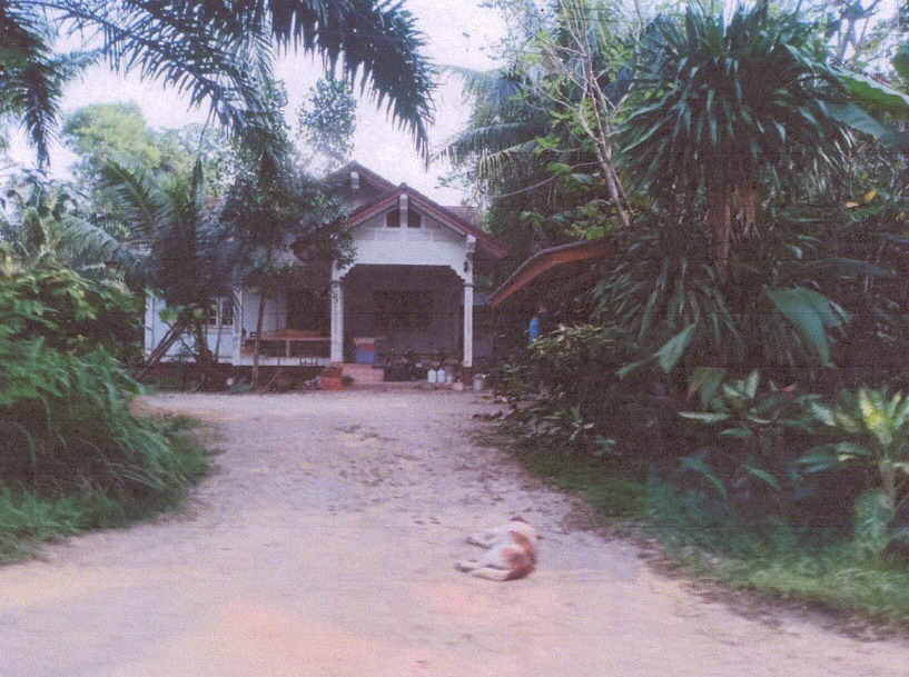 รูปที่ดินพร้อมสิ่งปลูกสร้าง ตากแดด เมืองชุมพร ชุมพร