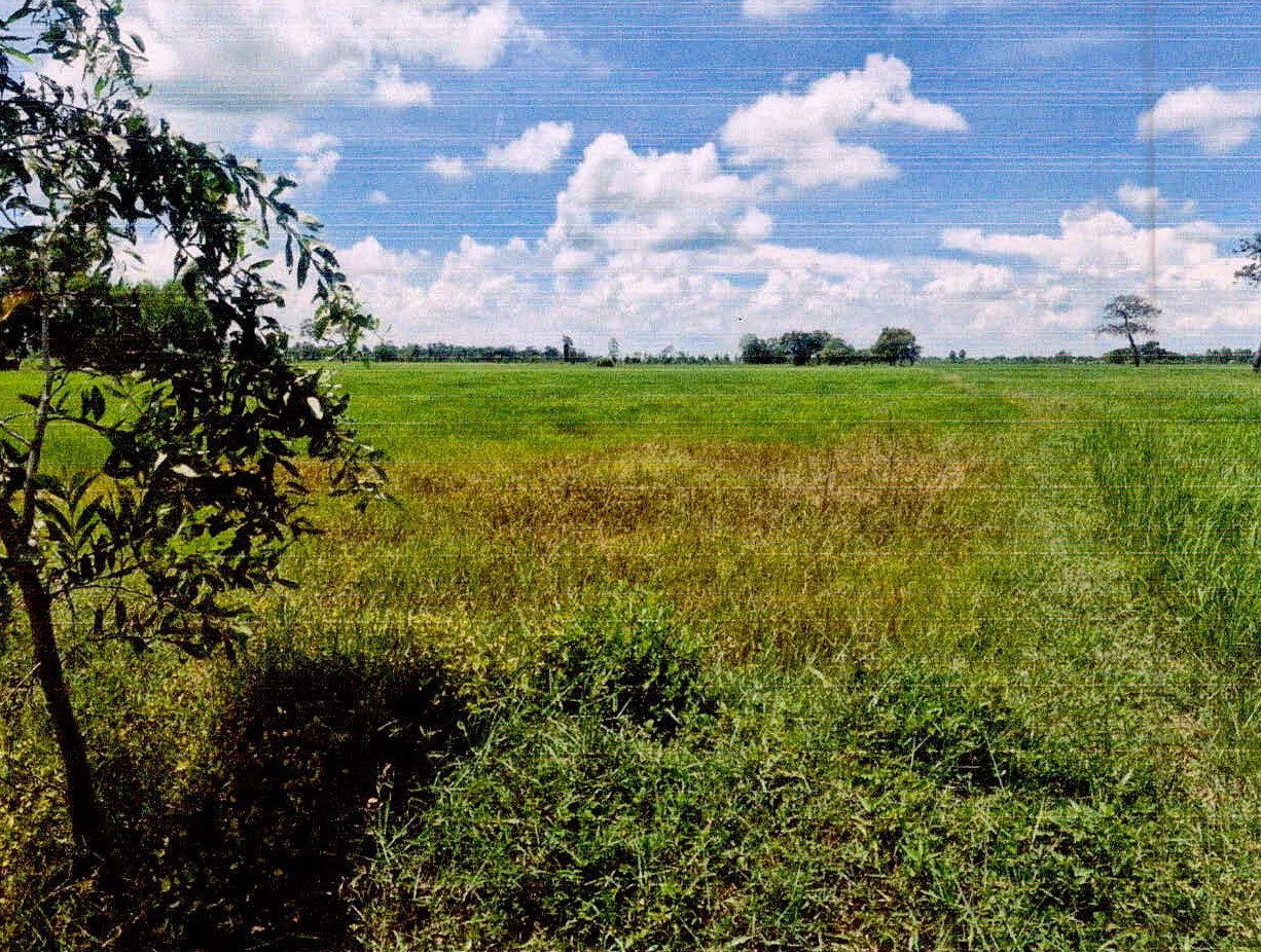 รูปที่ดินว่างเปล่า กุง ศิลาลาด ศรีสะเกษ