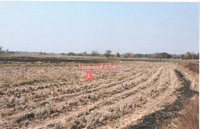 รูปที่ดินว่างเปล่า จำปาโมง บ้านผือ อุดรธานี