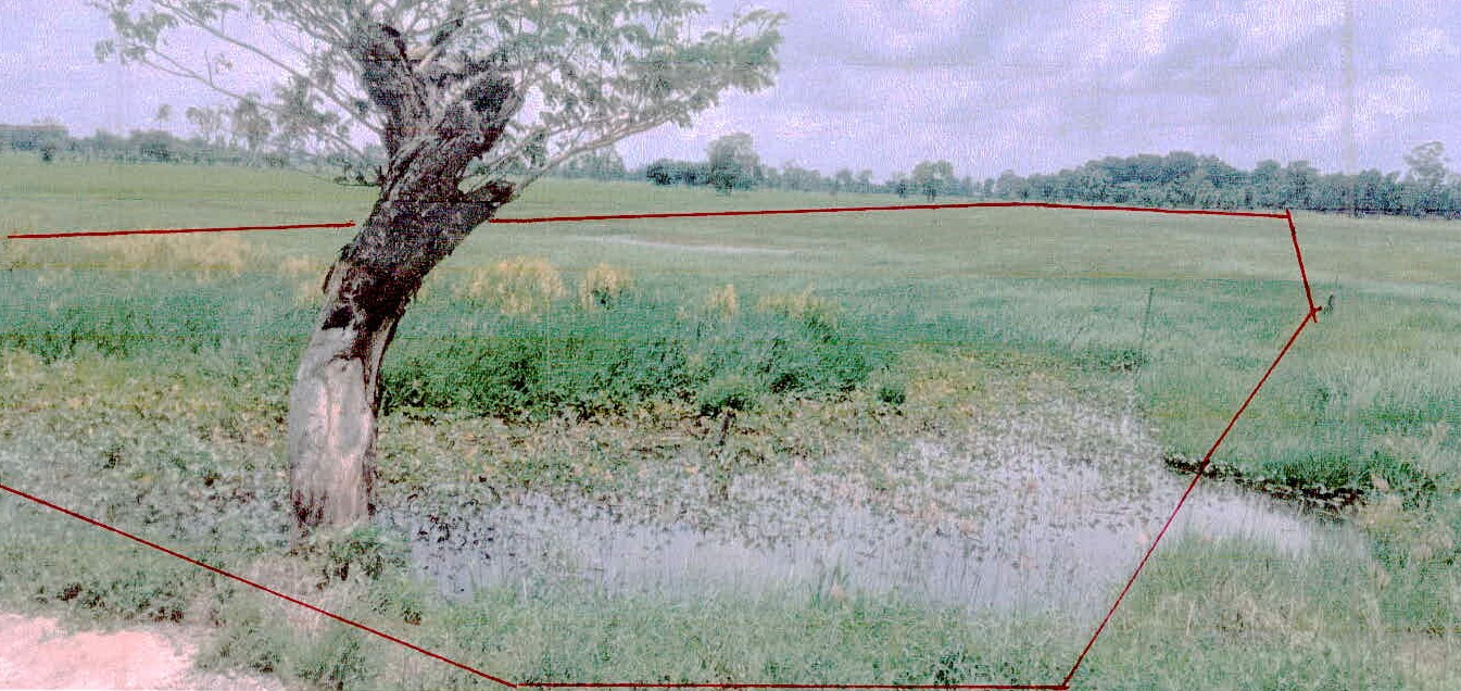 รูปที่ดินว่างเปล่า (ยางชุมน้อย)บึงบอน ยางชุมน้อย ศรีสะเกษ