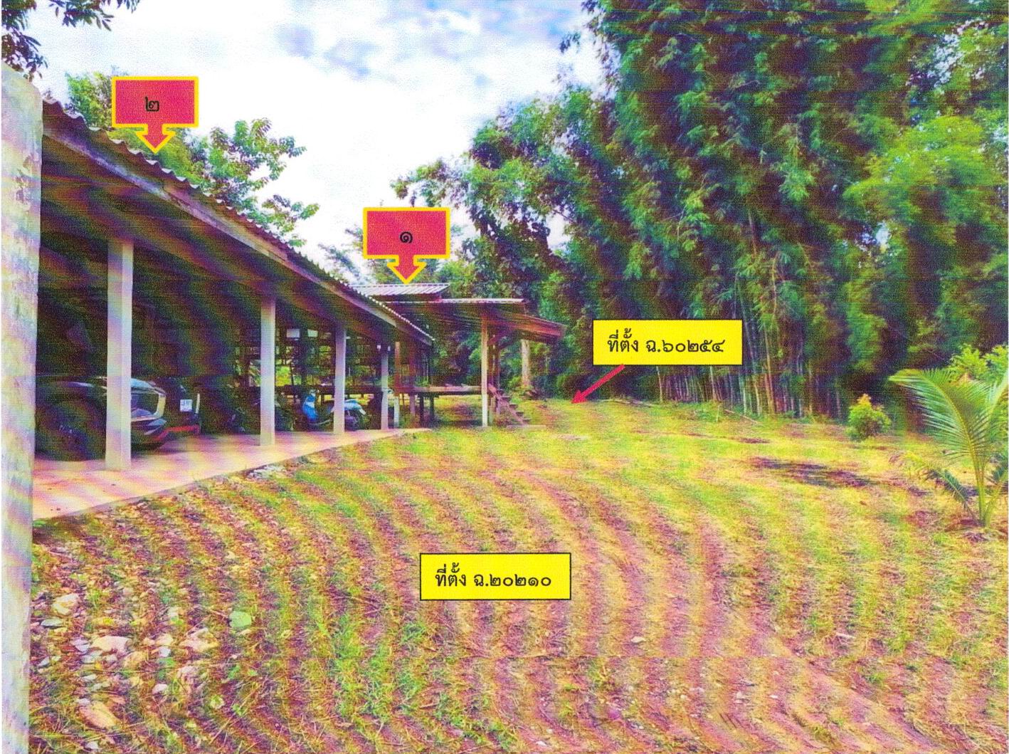 รูปที่ดินว่างเปล่า เมืองพาน พาน เชียงราย