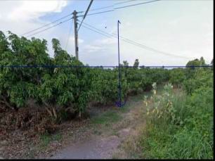 รูปที่ดินว่างเปล่า คลองทราย สากเหล็ก พิจิตร