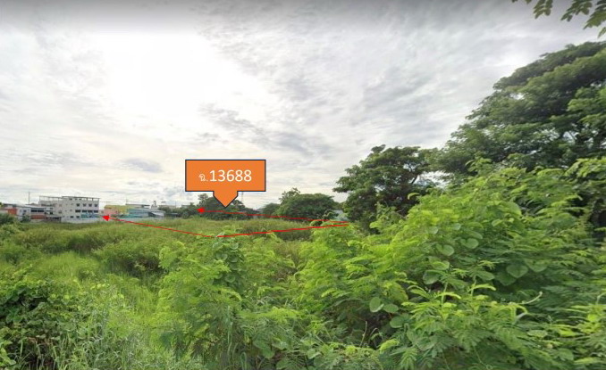 รูปที่ดินว่างเปล่า โพทะเล โพทะเล พิจิตร