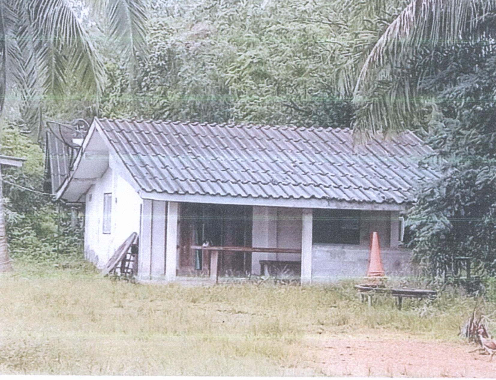 รูปที่ดินพร้อมสิ่งปลูกสร้าง หนองธง ป่าบอน พัทลุง