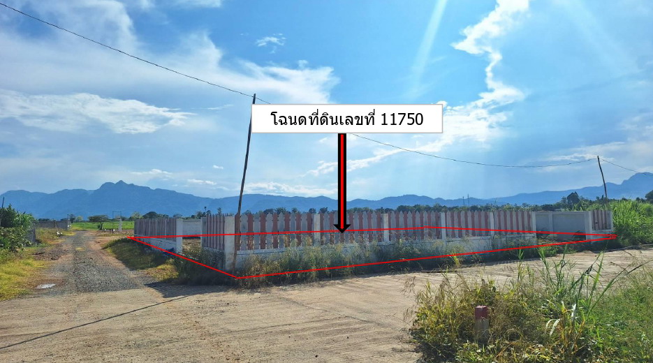 รูปที่ดินว่างเปล่า เกาะช้าง แม่สาย เชียงราย