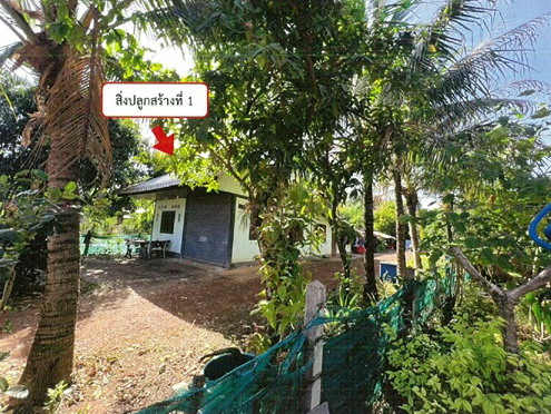 รูปที่ดินพร้อมสิ่งปลูกสร้าง เชียงเครือ เมืองสกลนคร สกลนคร