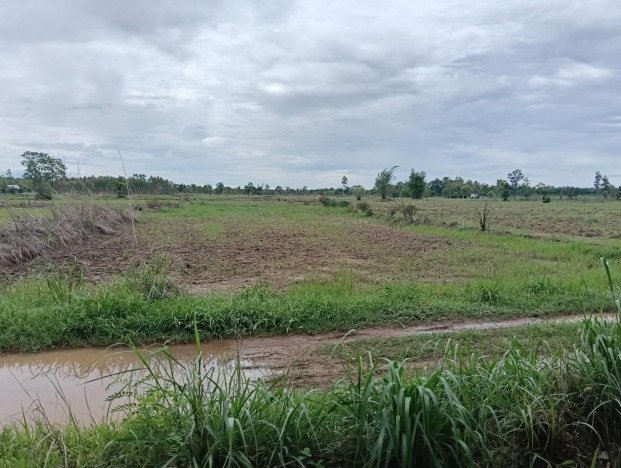 รูปที่ดินว่างเปล่า วานรนิวาส วานรนิวาส สกลนคร
