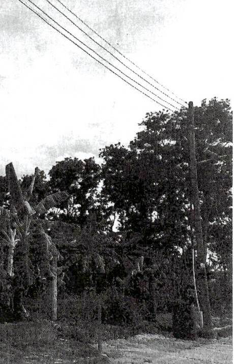 รูปที่ดินว่างเปล่า ท่าซัก เมืองนครศรีธรรมราช นครศรีธรรมราช