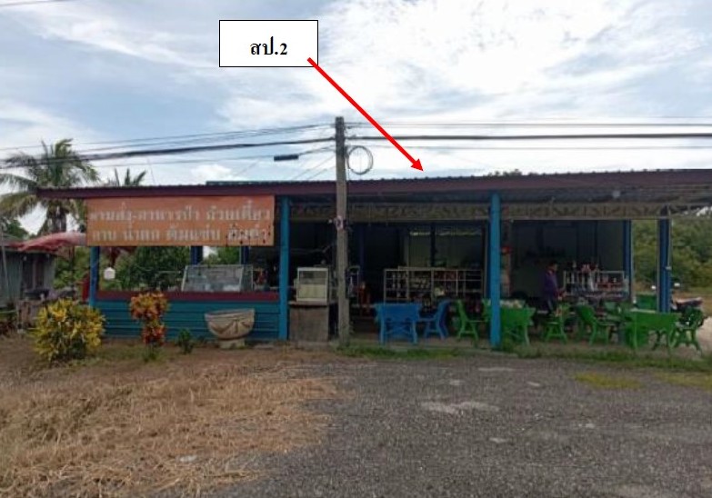 รูปที่ดินพร้อมสิ่งปลูกสร้าง วังงิ้วใต้ ดงเจริญ พิจิตร