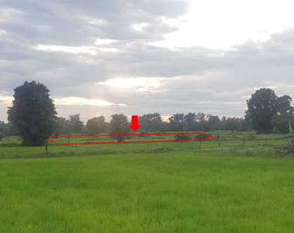 รูปที่ดินว่างเปล่า ตะกั่วป่า หนองสองห้อง ขอนแก่น