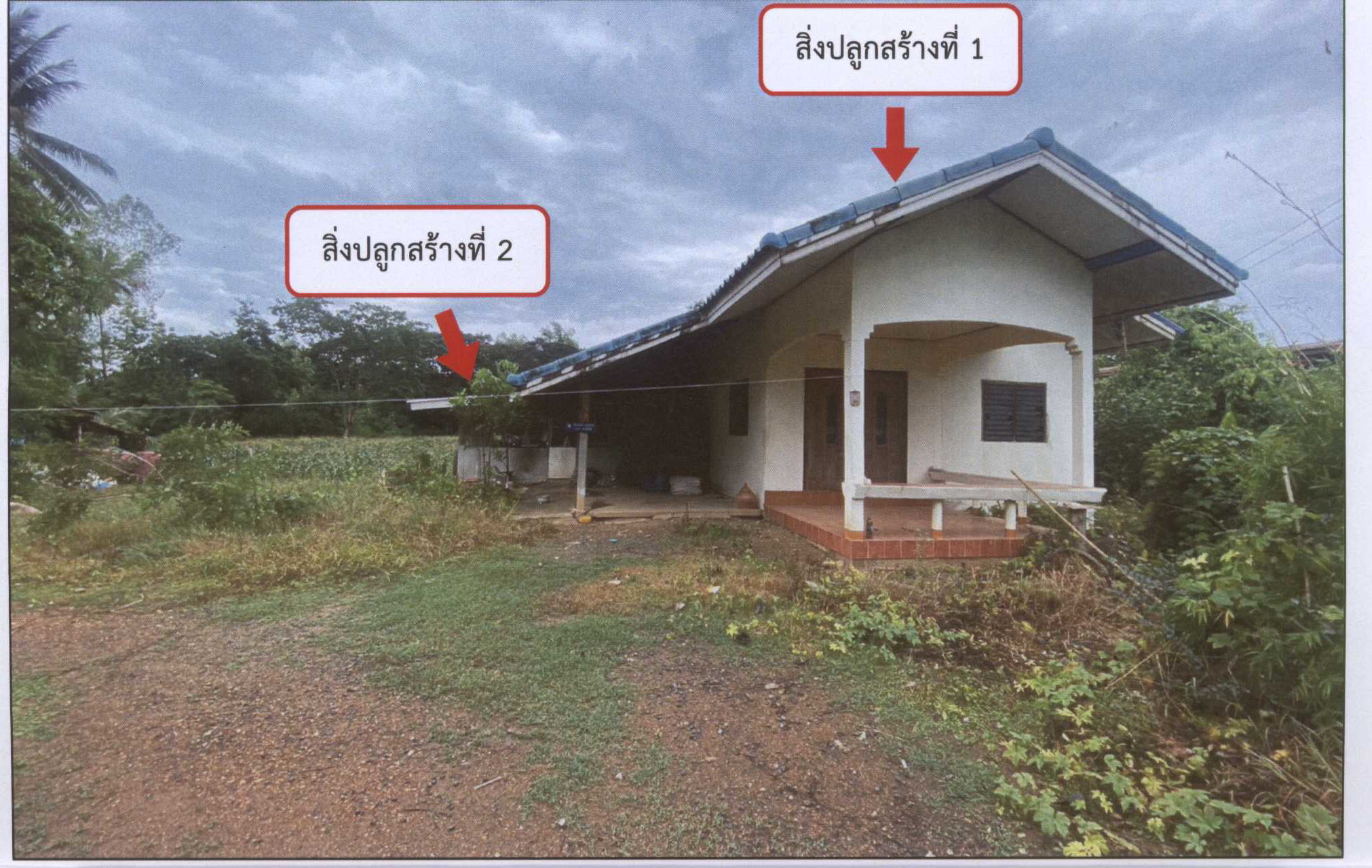 รูปที่ดินพร้อมสิ่งปลูกสร้าง บ้านไร่ หล่มสัก เพชรบูรณ์