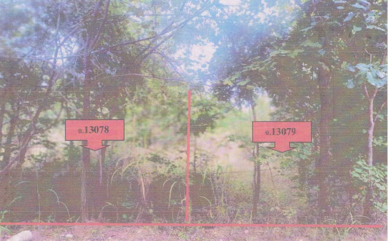 รูปที่ดินว่างเปล่า โพนทอง เมืองชัยภูมิ ชัยภูมิ