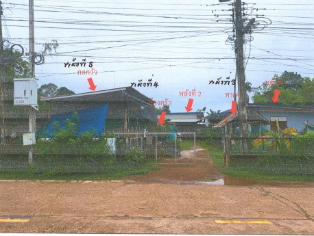 รูปที่ดินพร้อมสิ่งปลูกสร้าง เรณูใต้ เรณูนคร นครพนม
