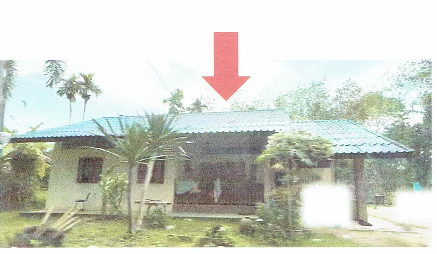 รูปที่ดินพร้อมสิ่งปลูกสร้าง ทุ่งพลา โคกโพธิ์ ปัตตานี