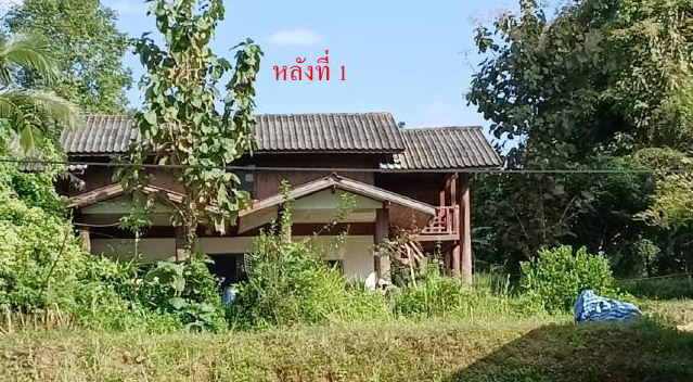 รูปที่ดินพร้อมสิ่งปลูกสร้าง ตะเคียนปม ทุ่งหัวช้าง ลำพูน