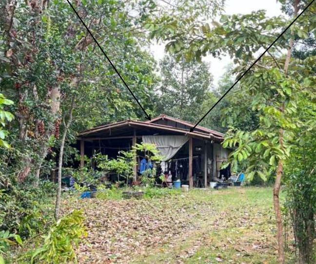 รูปที่ดินพร้อมสิ่งปลูกสร้าง ขี้เหล็ก เมืองอุบลราชธานี อุบลราชธานี